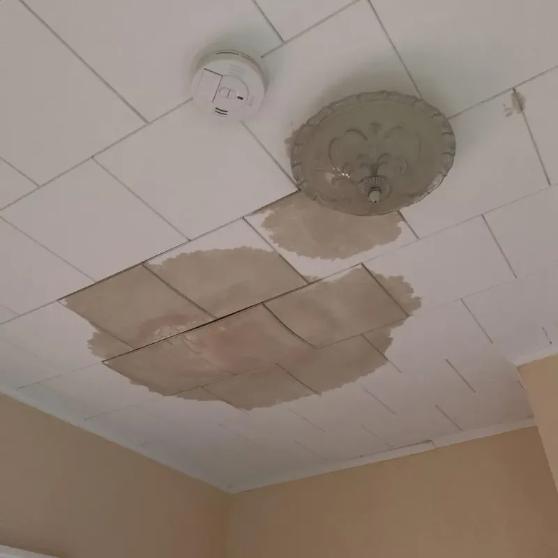 Ceiling Water Damage Repair in Hideaway, TX