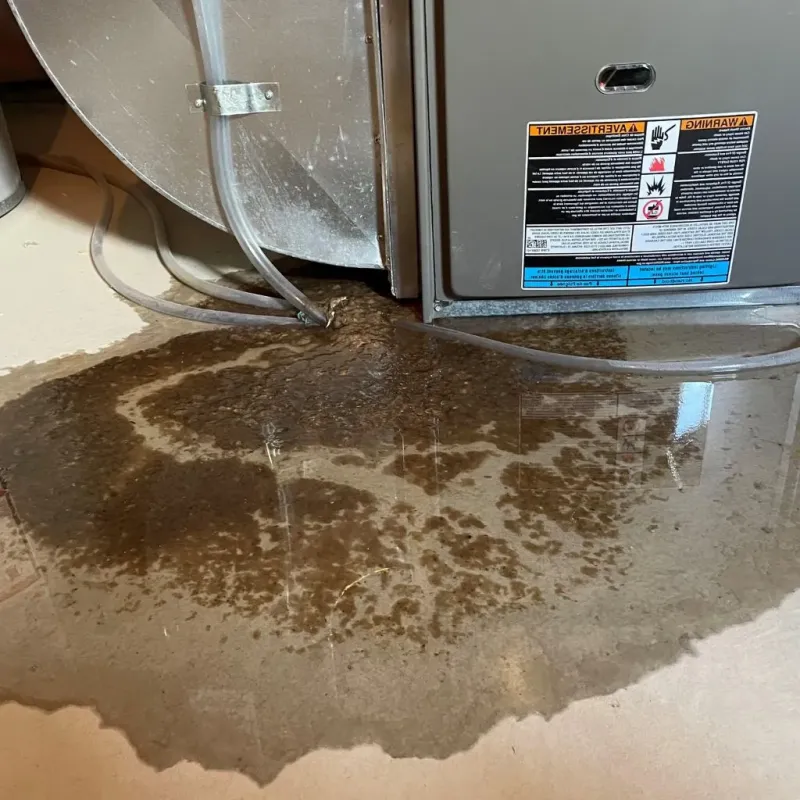 Pipe Burst and Leak Restoration in Hideaway, TX