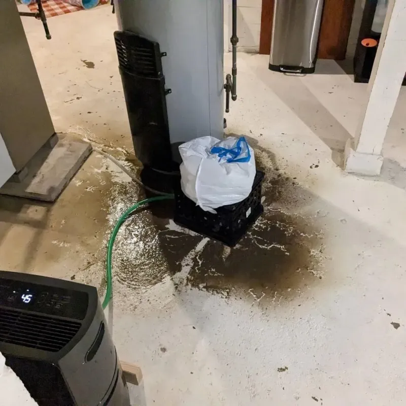 Sewage Backup Cleanup Service in Hideaway, TX